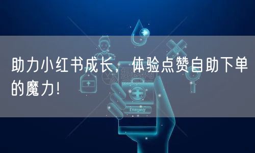 助力小红书成长，体验点赞自助下单的魔力！