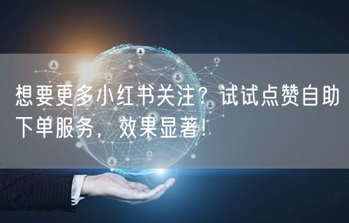 想要更多小红书关注？试试点赞自助下单服务，效果显著！