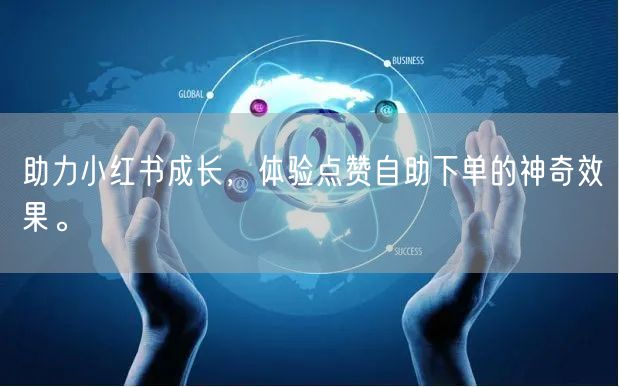 助力小红书成长，体验点赞自助下单的神奇效果。