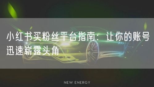 小红书买粉丝平台指南:让你的账号迅速崭露头角