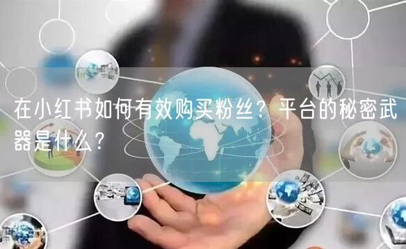 在小红书如何有效购买粉丝？平台的秘密武器是什么？