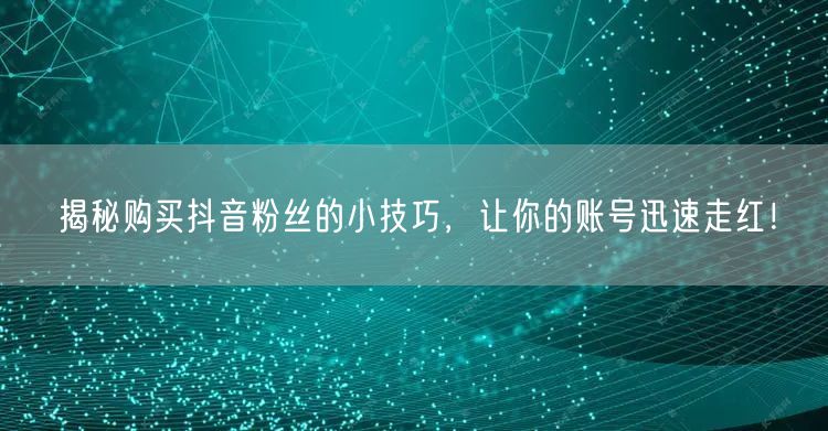 揭秘购买抖音粉丝的小技巧，让你的账号迅速走红！