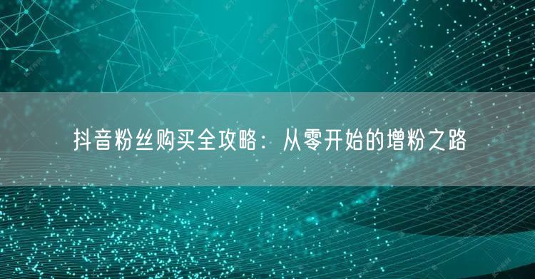 抖音粉丝购买全攻略：从零开始的增粉之路
