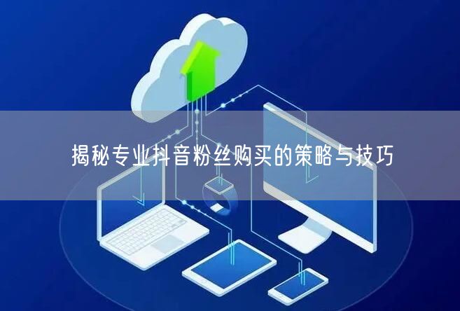 揭秘专业抖音粉丝购买的策略与技巧