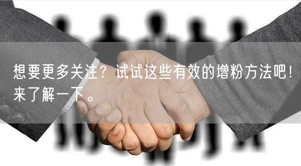 想要更多关注？试试这些有效的增粉方法吧！来了解一下。