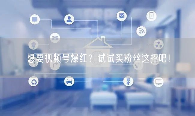 想要视频号爆红？试试买粉丝这招吧！