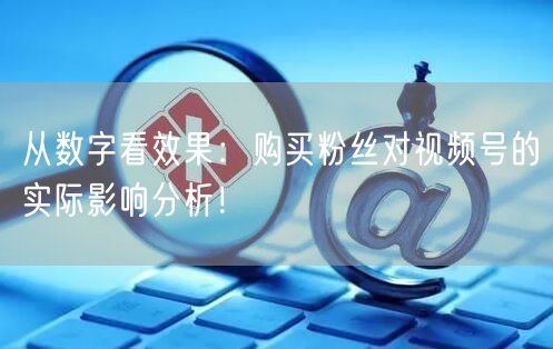 从数字看效果：购买粉丝对视频号的实际影响分析！