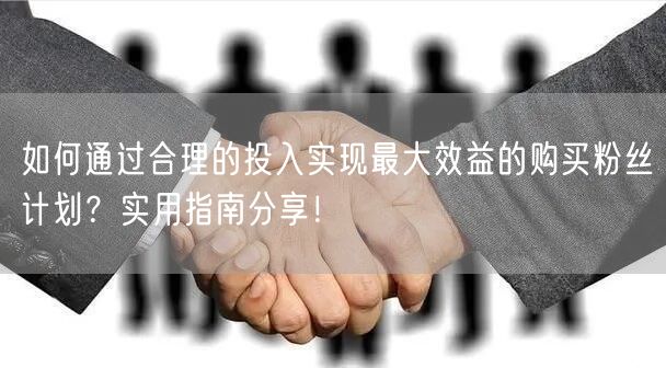 如何通过合理的投入实现最大效益的购买粉丝计划？实用指南分享！