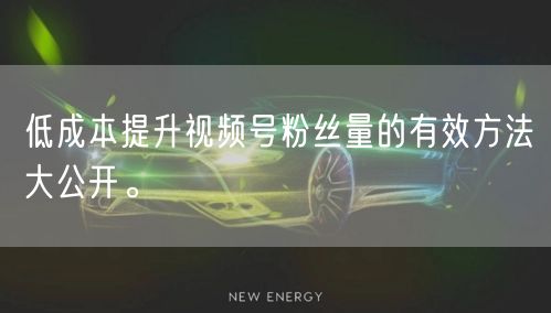 低成本提升视频号粉丝量的有效方法大公开。