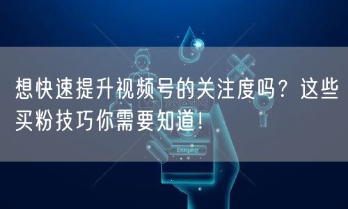 想快速提升视频号的关注度吗？这些买粉技巧你需要知道！