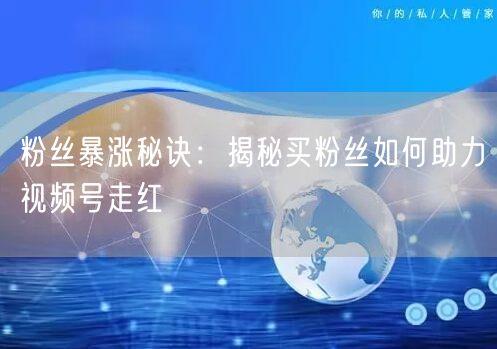 粉丝暴涨秘诀：揭秘买粉丝如何助力视频号走红