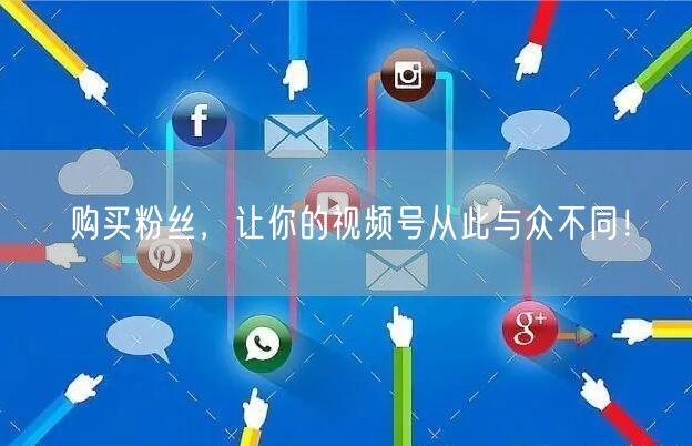 购买粉丝，让你的视频号从此与众不同！