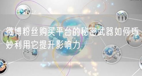 微博粉丝购买平台的秘密武器如何巧妙利用它提升影响力