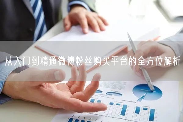 从入门到精通微博粉丝购买平台的全方位解析