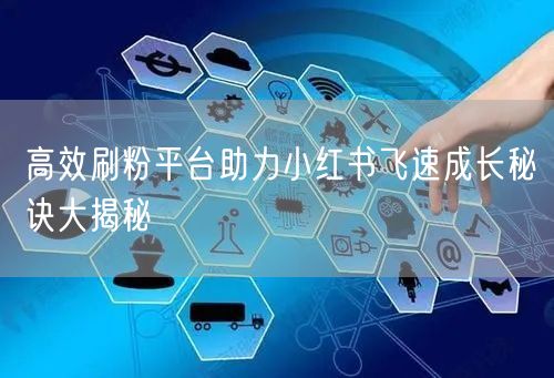 高效刷粉平台助力小红书飞速成长秘诀大揭秘