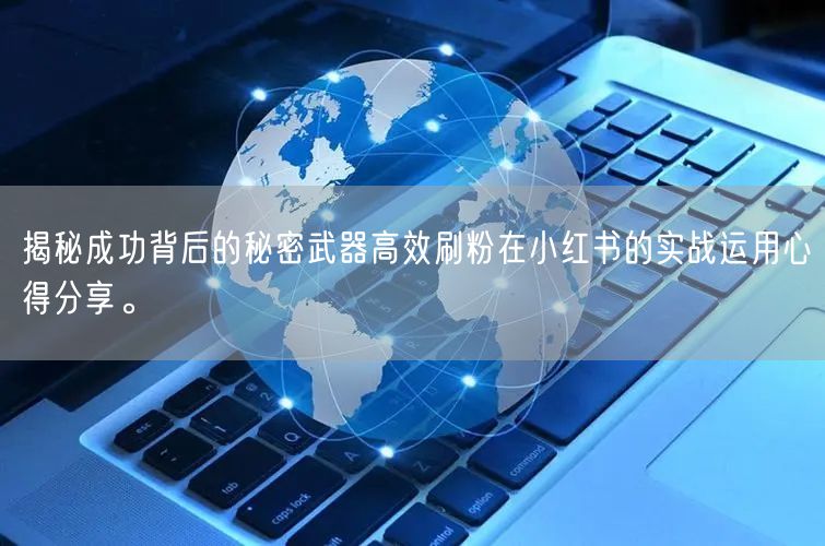 揭秘成功背后的秘密武器高效刷粉在小红书的实战运用心得分享。