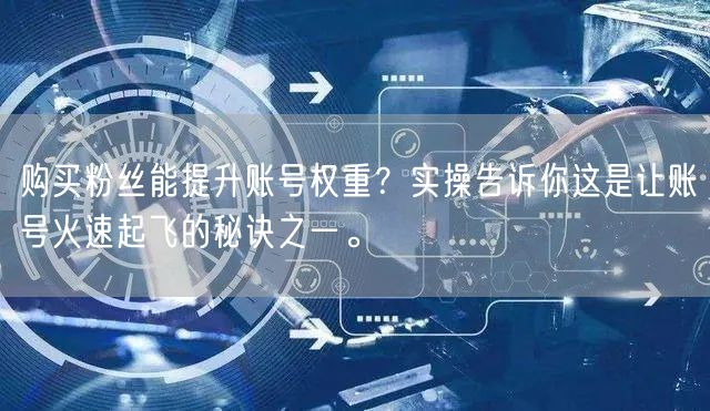 购买粉丝能提升账号权重？实操告诉你这是让账号火速起飞的秘诀之一。