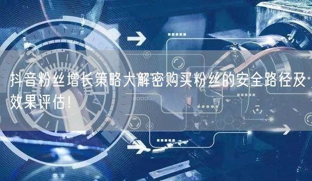 抖音粉丝增长策略大解密购买粉丝的安全路径及效果评估！