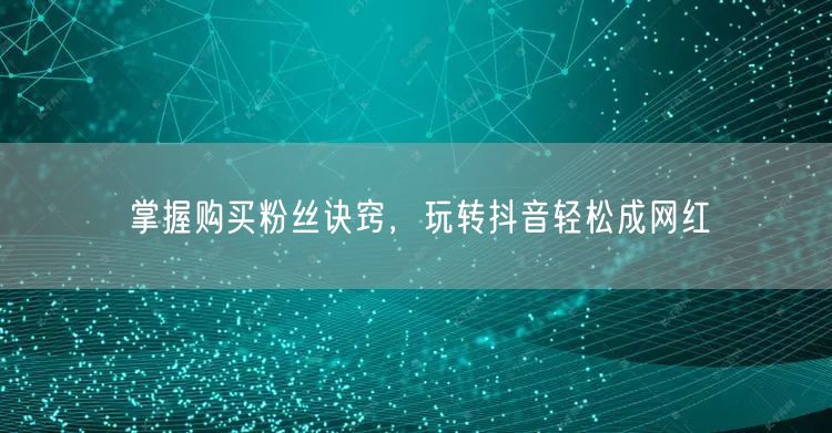 掌握购买粉丝诀窍，玩转抖音轻松成网红