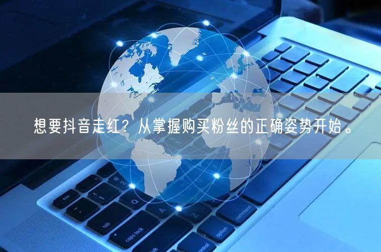 想要抖音走红？从掌握购买粉丝的正确姿势开始。