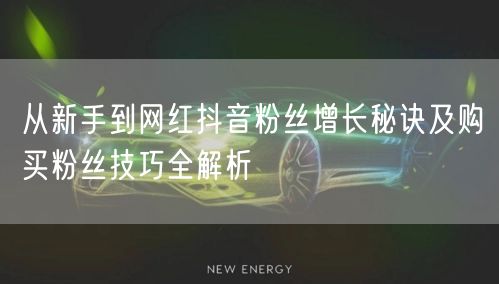 从新手到网红抖音粉丝增长秘诀及购买粉丝技巧全解析