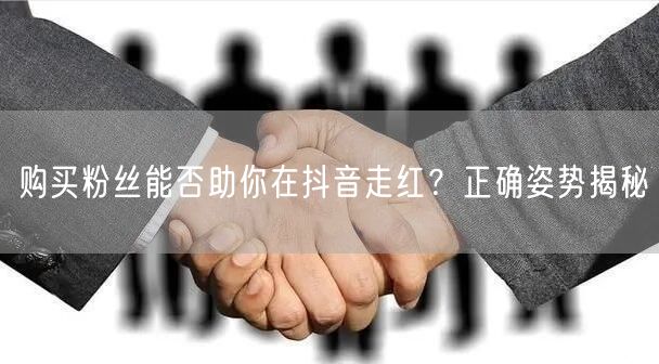 购买粉丝能否助你在抖音走红？正确姿势揭秘