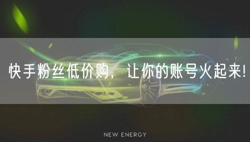 快手粉丝低价购,让你的账号火起来!