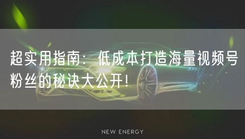 超实用指南：低成本打造海量视频号粉丝的秘诀大公开！
